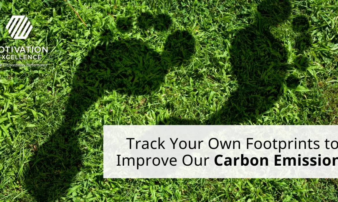 how to lower your carbon footprint, sustainability